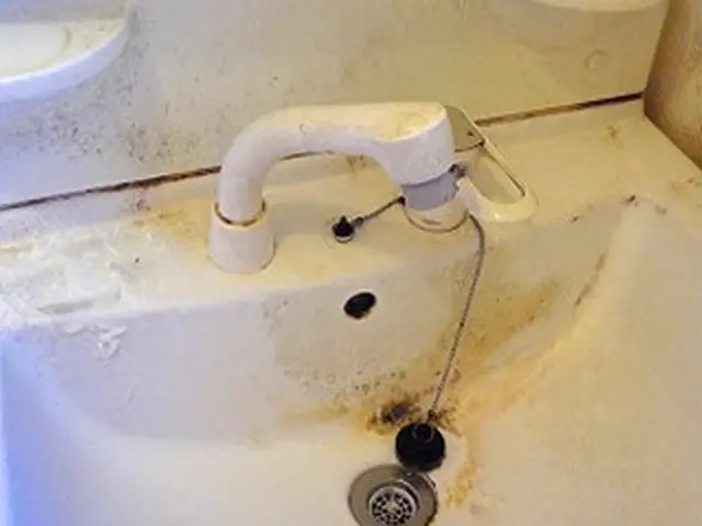 【洗面所はお任せ下さい！】PayPay・他QR対応／損害保険加入サービスの画像