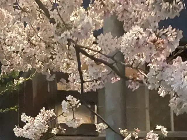 丁寧な仕上がりが自慢です！植木1本からでも対応させて頂きますご気軽ご相談下さい！サービスの画像