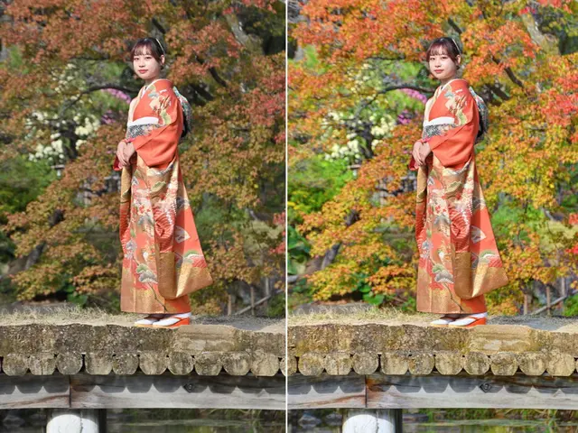 七五三、成人式など記念に1冊の写真集にすると素敵な思い出になります。