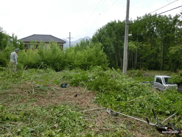 【業界30年の経験実績による確かな技術】空き地、手付かずの土地も対応可能！サービスの画像