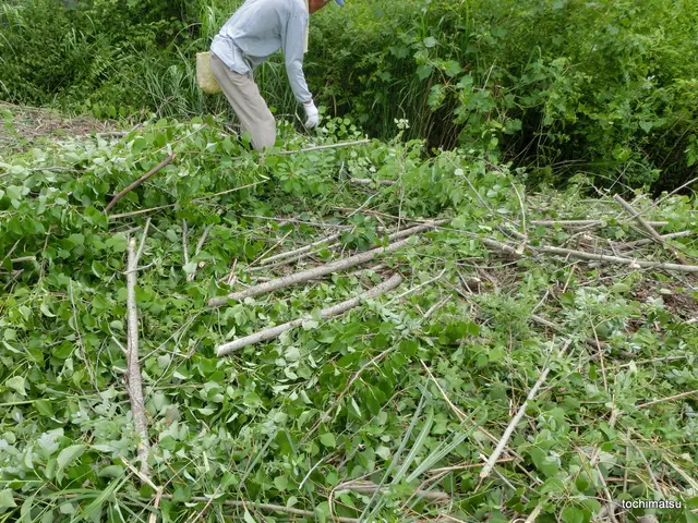 【業界30年の経験実績による確かな技術】空き地、手付かずの土地も対応可能！サービスの画像
