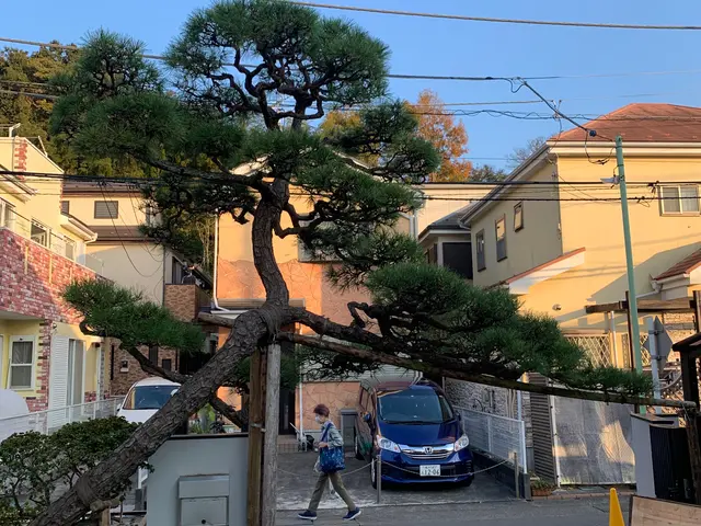 お庭を綺麗にして健やかな日々を送りませんか？お気軽にご相談ください。サービスの画像