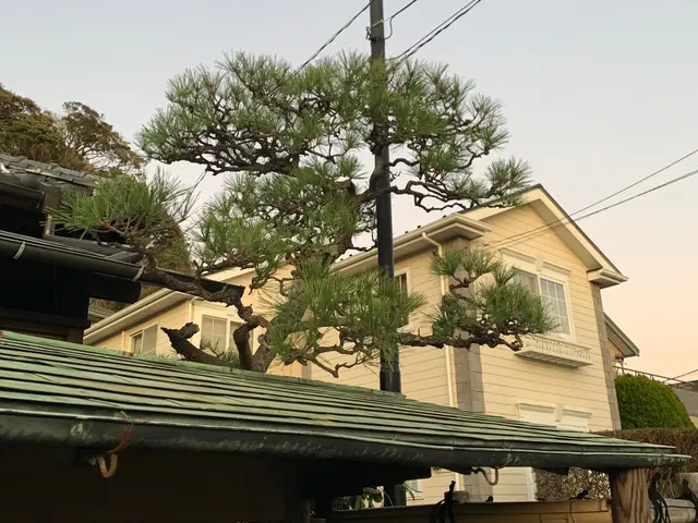 お庭を綺麗にして健やかな日々を送りませんか？お気軽にご相談ください。サービスの画像