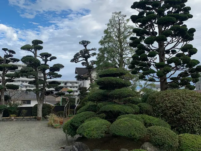 お庭を綺麗にして健やかな日々を送りませんか？お気軽にご相談ください。サービスの画像