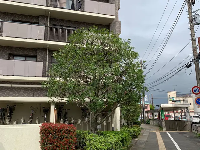 お庭を綺麗にして健やかな日々を送りませんか？お気軽にご相談ください。サービスの画像