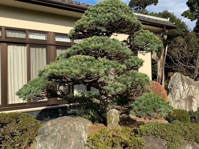 お庭を綺麗にして健やかな日々を送りませんか？お気軽にご相談ください。サービスの画像