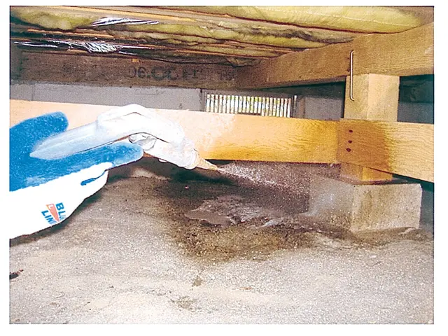 【日本しろあり対策協会加盟店】7月末88000円☆床下無料調査有。シロアリ保険付サービスの画像