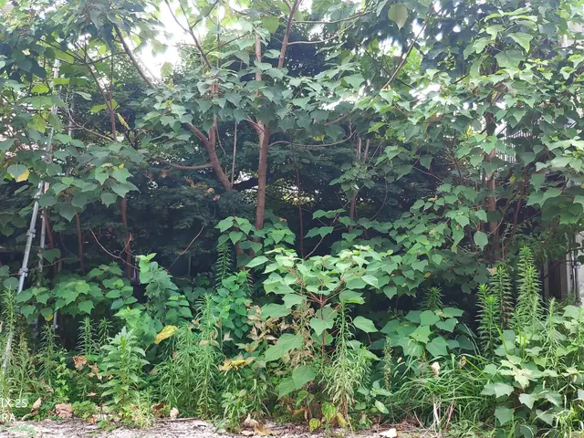 経験年数33年一級造園技能士の技術と知識でお客様のご要望にお応えしますサービスの画像