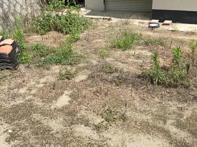 ◆即レス・即対応・無料見積OK◆草抜きならおまかせ！！サービスの画像