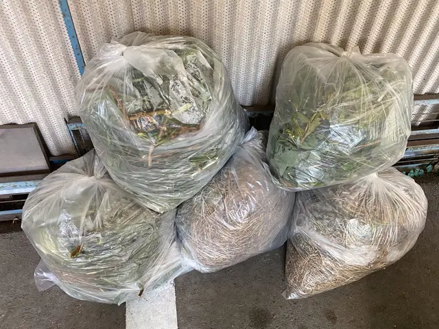 ◆即レス・即対応・無料見積OK◆草抜きならおまかせ！！サービスの画像