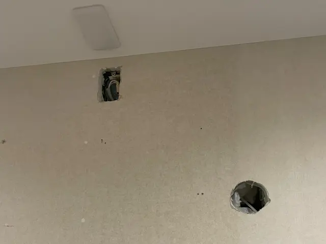 壁紙の穴や凹み、捲れ、傷(退去時のペットの引っ掻き傷など)に対応します！サービスの画像