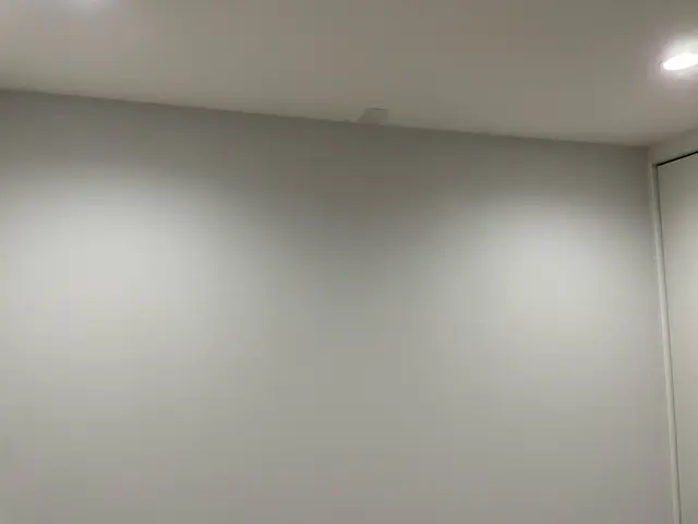 壁紙の穴や凹み、捲れ、傷(退去時のペットの引っ掻き傷など)に対応します！サービスの画像