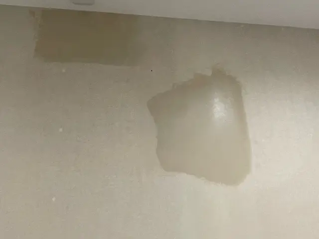 壁紙の穴や凹み、捲れ、傷(退去時のペットの引っ掻き傷など)に対応します！サービスの画像