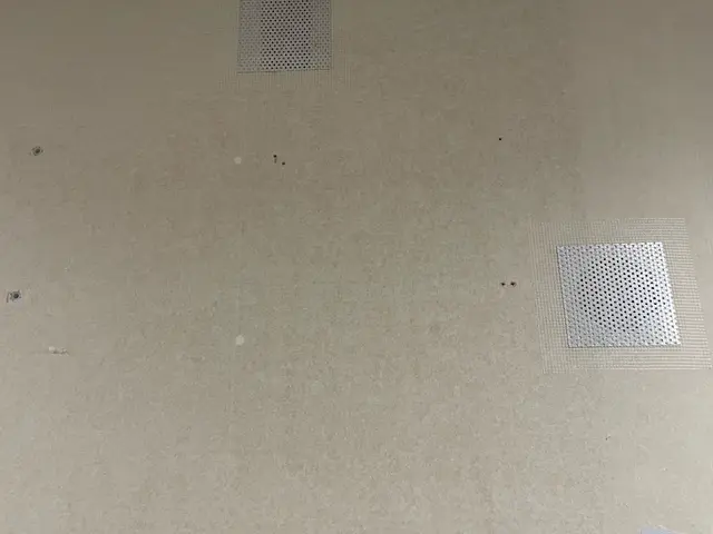 壁紙の穴や凹み、捲れ、傷(退去時のペットの引っ掻き傷など)に対応します！サービスの画像