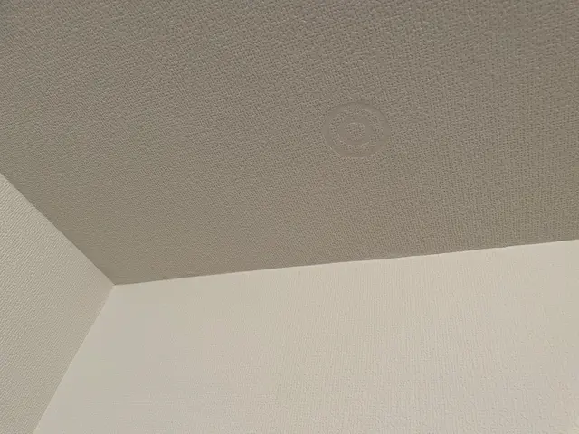 壁紙の穴や凹み、捲れ、傷(退去時のペットの引っ掻き傷など)に対応します！サービスの画像