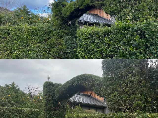 【実績500件以上】【接客に自信アリ】お庭のお悩み笑顔で解決！サービスの画像