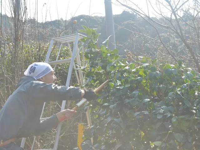 【実績500件以上】【接客に自信アリ】お庭のお悩み笑顔で解決！サービスの画像