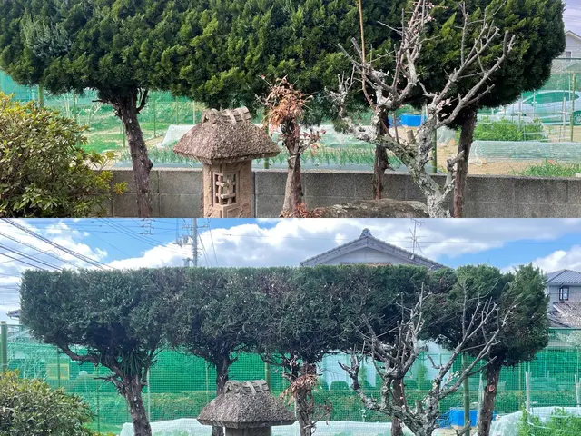 【実績500件以上】【接客に自信アリ】お庭のお悩み笑顔で解決！サービスの画像