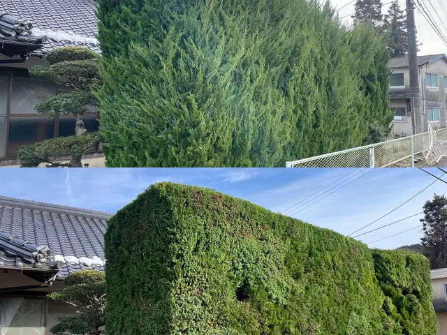 【実績500件以上】【接客に自信アリ】お庭のお悩み笑顔で解決！サービスの画像