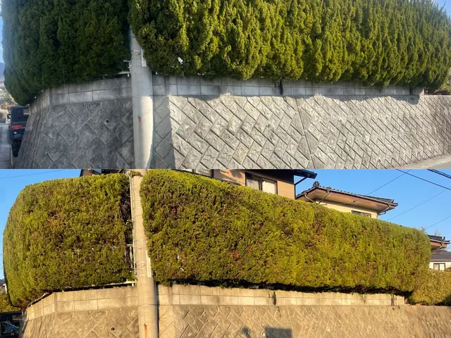 【実績500件以上】【接客に自信アリ】お庭のお悩み笑顔で解決！サービスの画像