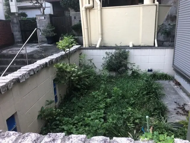 【１月１０日～OK！】◇仕上がり保証あり◇オンラインカード可◎サービスの画像