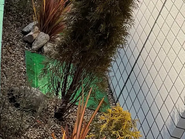 ＜女性スタッフの同行OK＞営業時間外のご予約も相談可能です◎サービスの画像