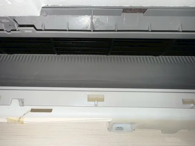 10月新出店◎小さなお子さま｜犬・猫◎【倉敷市】サービスの画像