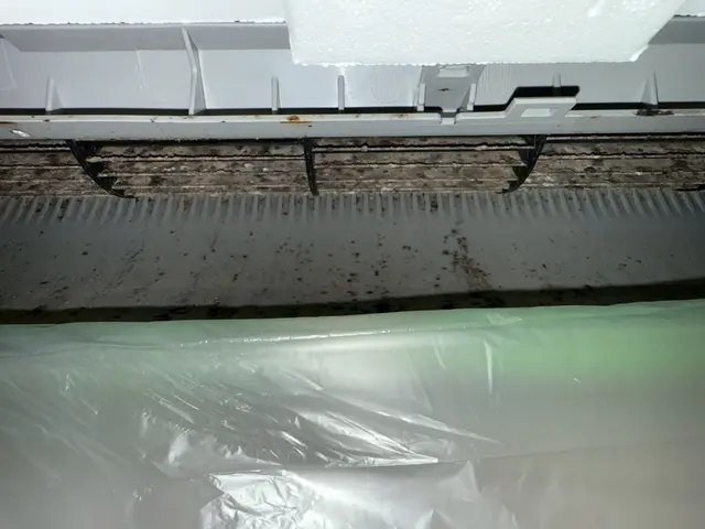 10月新出店◎小さなお子さま｜犬・猫◎【倉敷市】サービスの画像