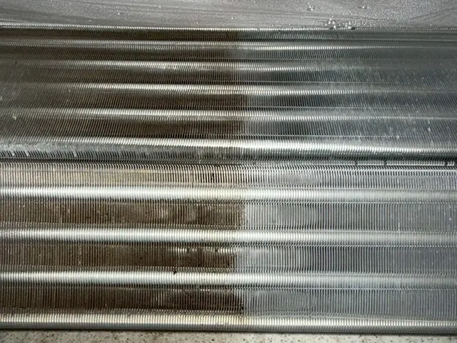 10月新出店◎小さなお子さま｜犬・猫◎【倉敷市】サービスの画像