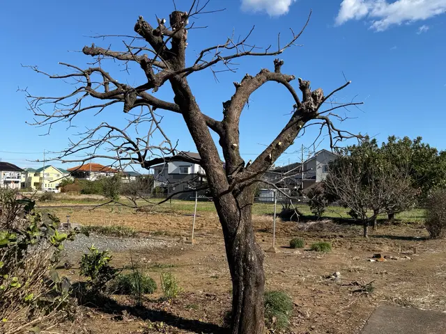 プロの技術でご満足いただけるように心を込めて作業いたします！サービスの画像