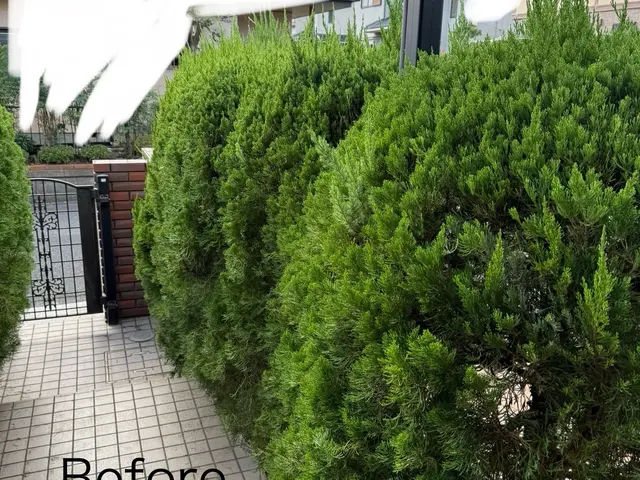 プロの技術でご満足いただけるように心を込めて作業いたします！サービスの画像