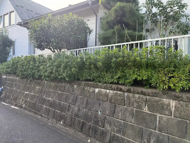 プロの技術でご満足いただけるように心を込めて作業いたします！サービスの画像