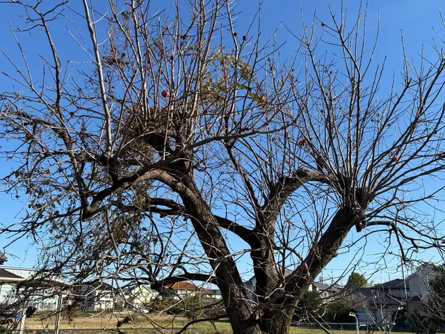 プロの技術でご満足いただけるように心を込めて作業いたします！サービスの画像