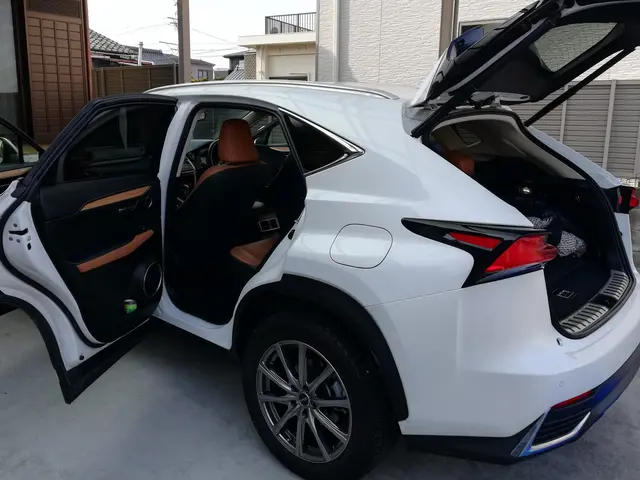 革張りシートの洗浄は保湿が最重要、革張りシートの汚れは専門店の当社にお任せ！サービスの画像