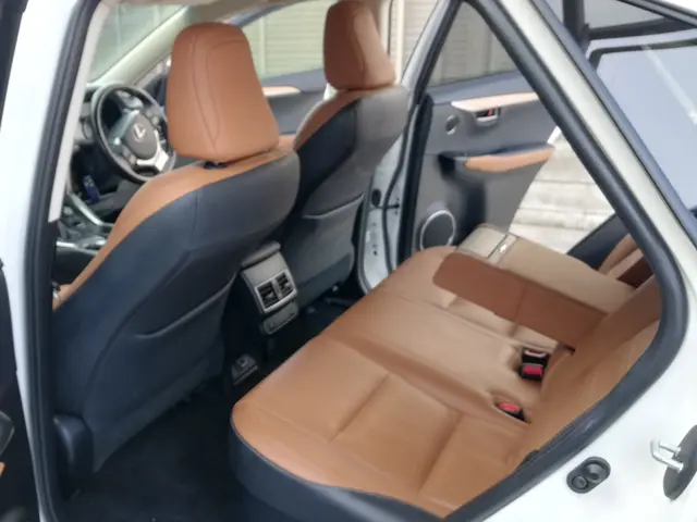 革張りシートの洗浄は保湿が最重要、革張りシートの汚れは専門店の当社にお任せ！サービスの画像