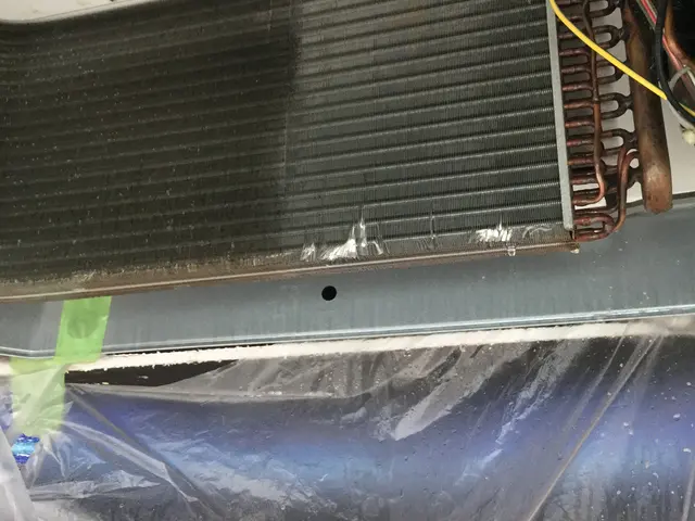 【5,000円引き】今がお得！秋のキャンペーン【11月末まで】サービスの画像