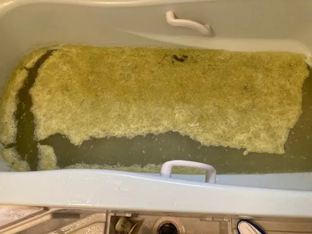 お風呂の配管のおそうじ！安心の薬剤使用！お年寄り・赤ちゃんに！サービスの画像