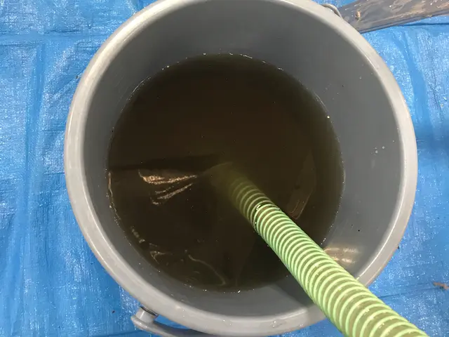 防カビ抗菌コート無料★大手で作業をしているプロの手を低価額でご利用いただけます♪サービスの画像