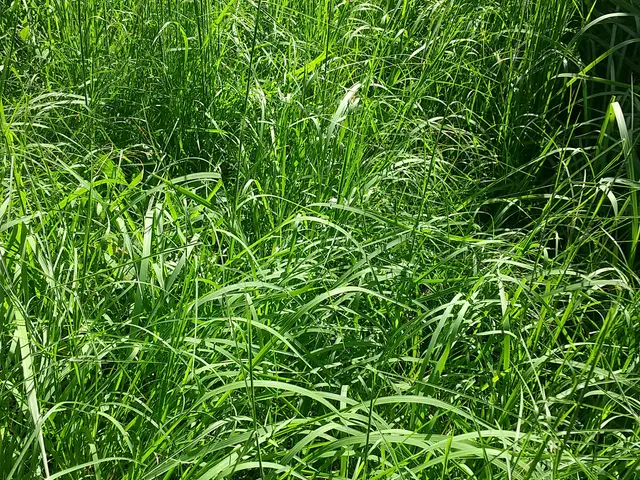 ◆猪名川町商工会所属◆   ☆安心価格☆   ◇カードOK◇サービスの画像