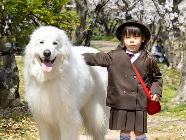◆まずメールで予約の打診して下さい！日程更新が遅れている場合があります◆