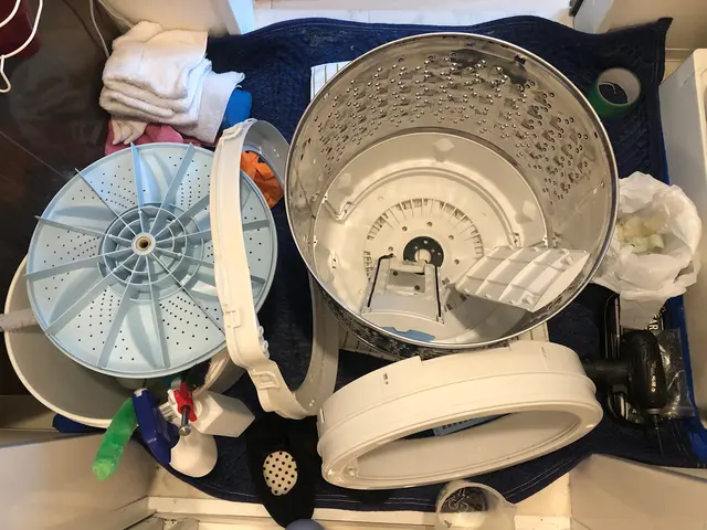 ♢洗濯機分解清掃サービスの画像