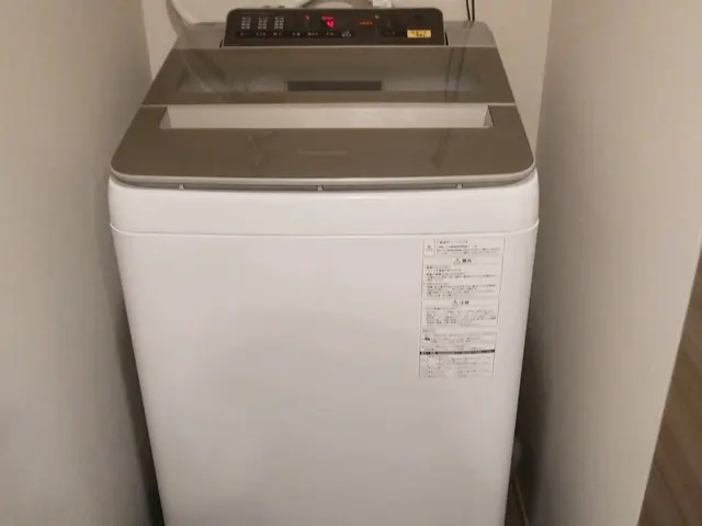 ♢洗濯機分解清掃サービスの画像