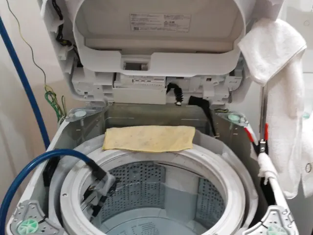 ♢洗濯機分解清掃サービスの画像