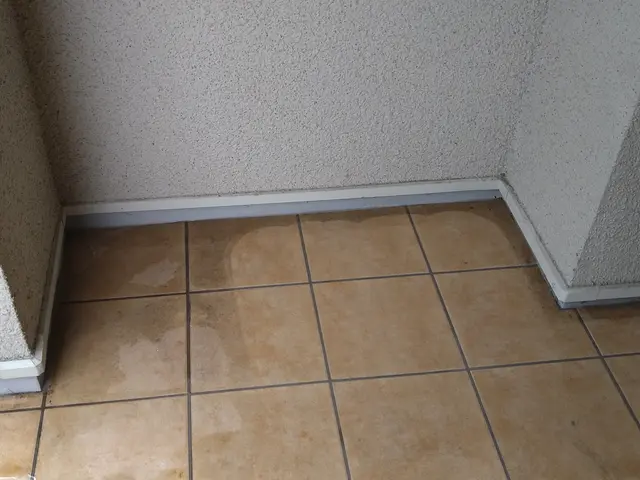玄関タイル洗浄　夫婦でお伺い　オプションで（タイルコーティング）サービスの画像