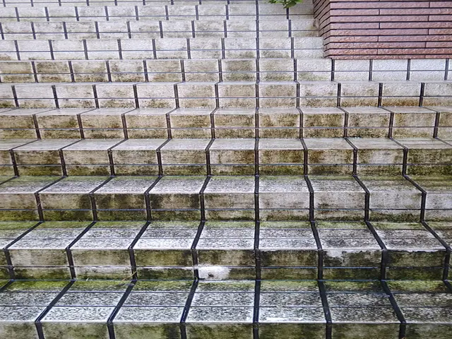 玄関タイル洗浄　夫婦でお伺い　オプションで（タイルコーティング）サービスの画像