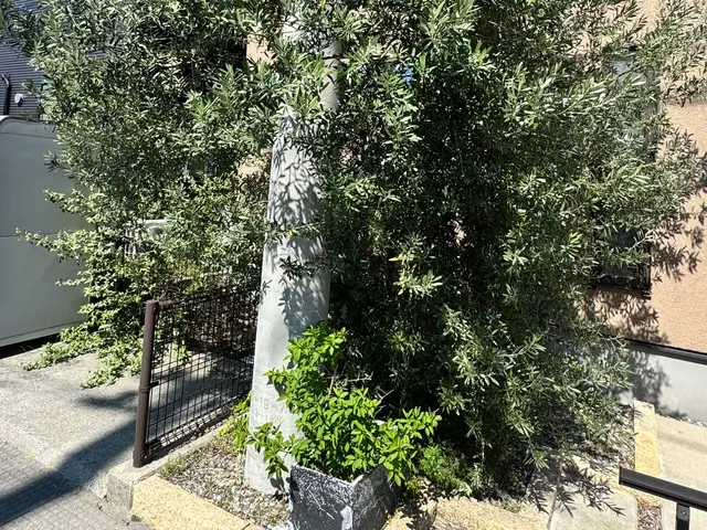 便利屋ぼーちゃんの庭木剪定！実績多数！サービスの画像