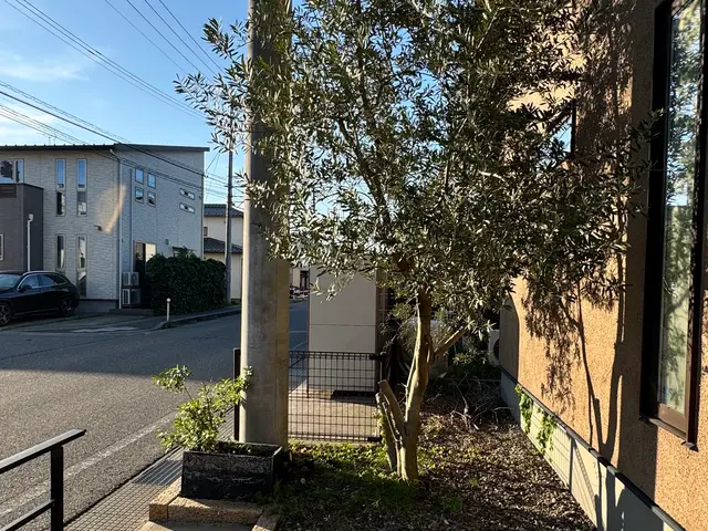 便利屋ぼーちゃんの庭木剪定！実績多数！サービスの画像