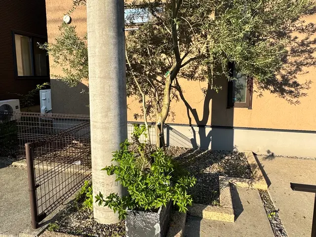 便利屋ぼーちゃんの庭木剪定！実績多数！サービスの画像