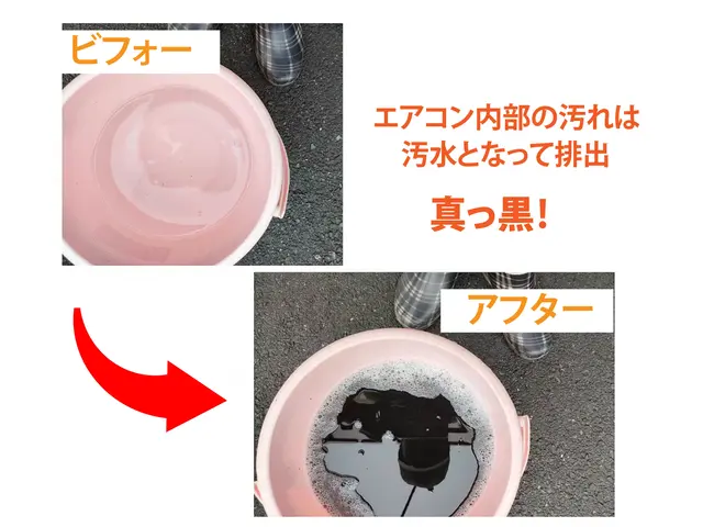 1月以降予約可！◆消臭抗菌コート無料✩‧₊◆第2種電気工事士✩°｡サービスの画像