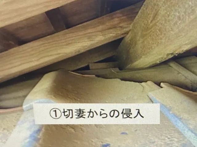 ◆千葉県専門◆当日対応可能◆ハクビシン、アライグマ駆除◆見積もり無料◆サービスの画像